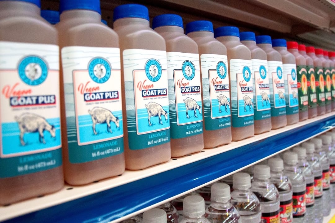 10 Omega Mart Products You Don’t Wanna Miss Meow Wolf